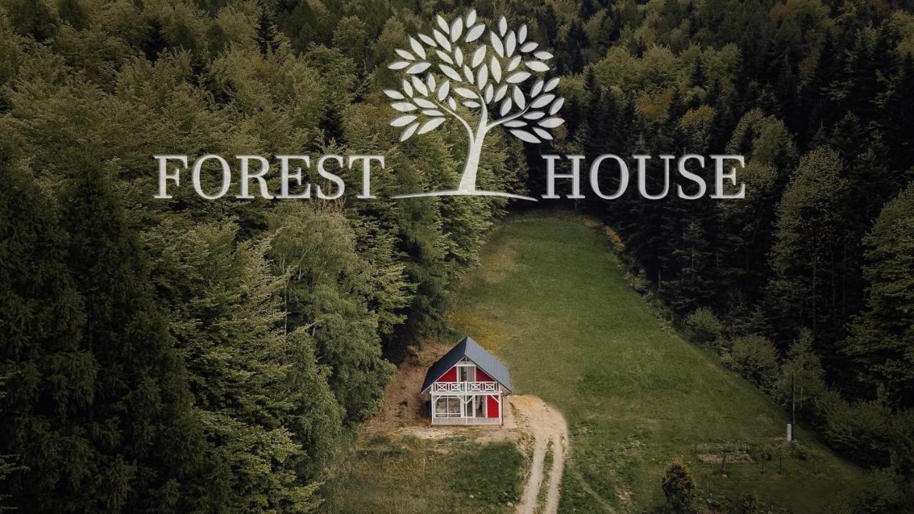 Forest House Targanice Kültér fotó