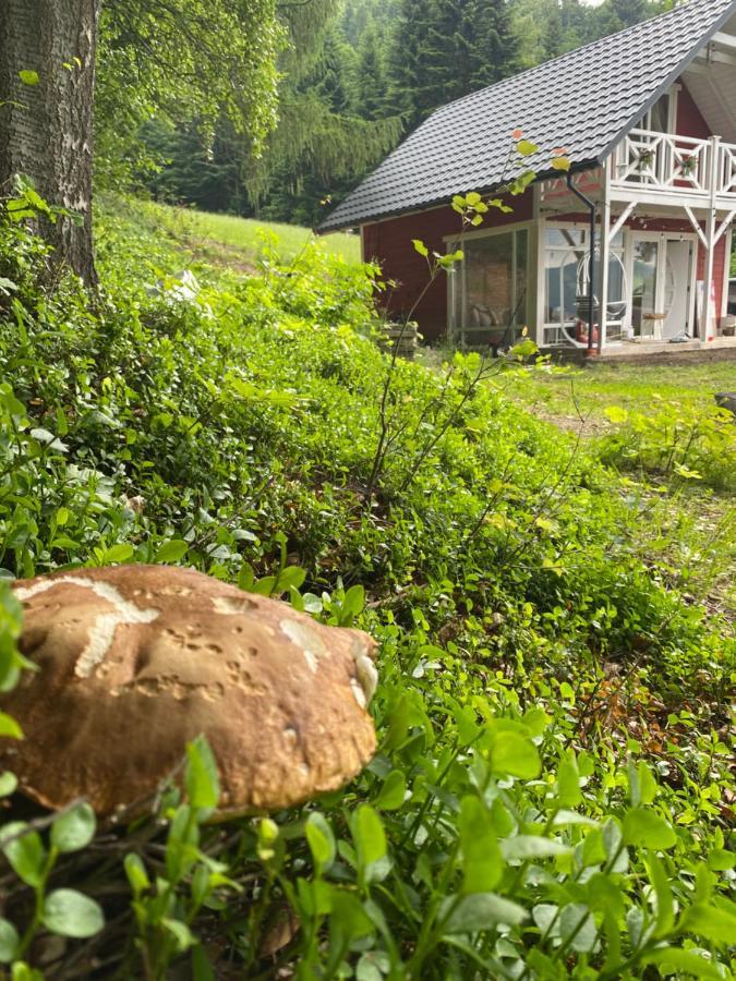 Forest House Targanice Kültér fotó
