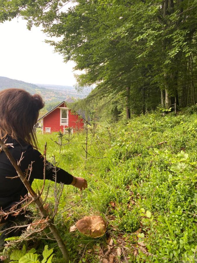 Forest House Targanice Kültér fotó