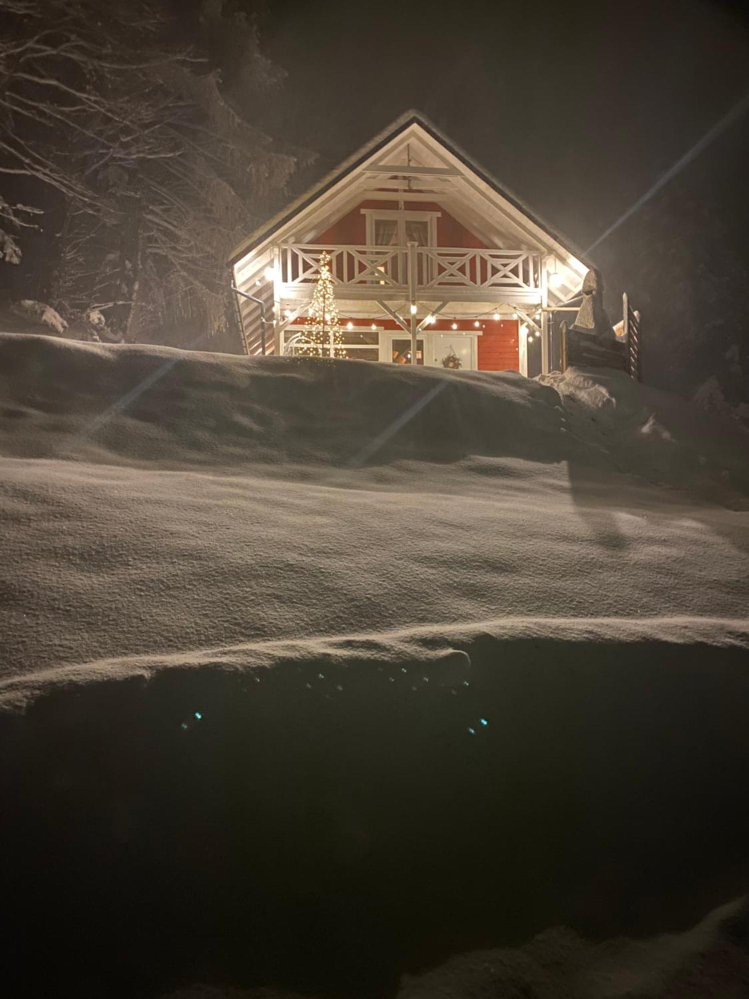 Forest House Targanice Kültér fotó