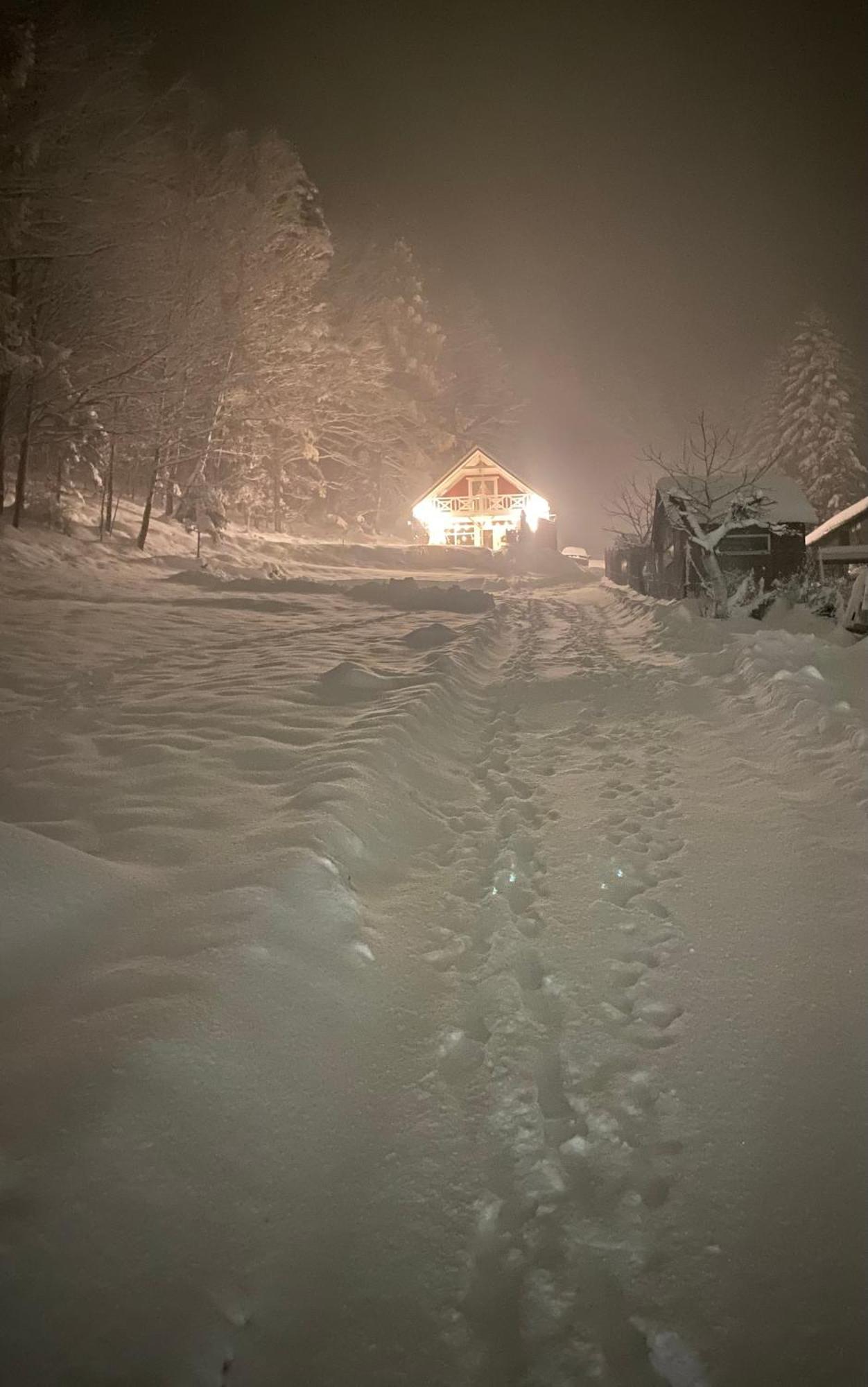 Forest House Targanice Kültér fotó