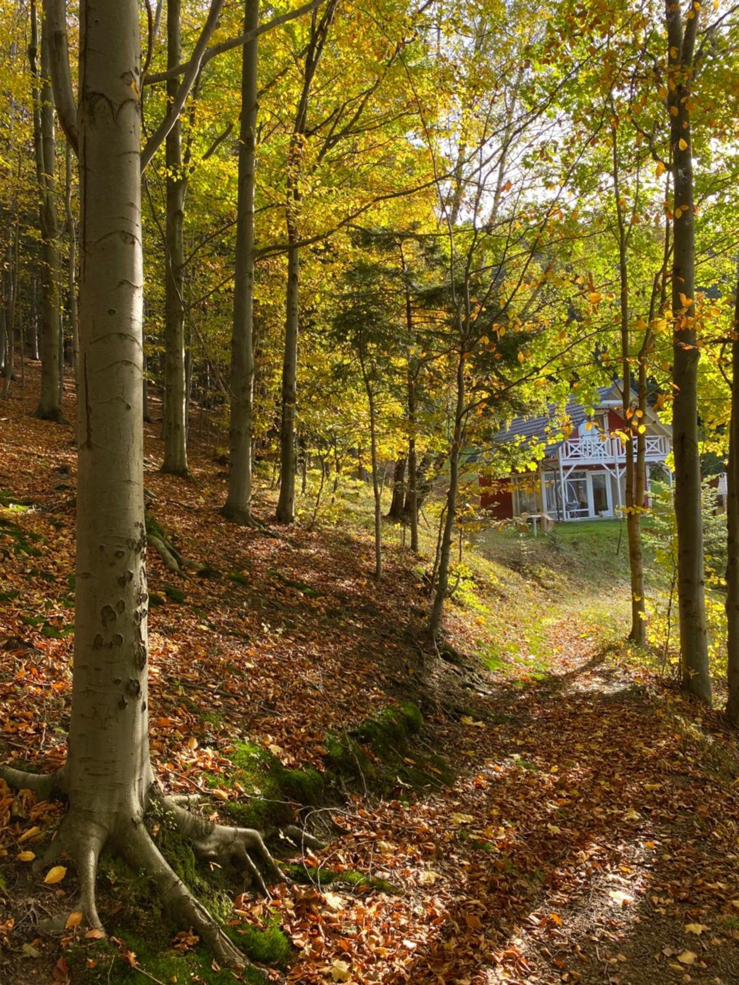 Forest House Targanice Kültér fotó