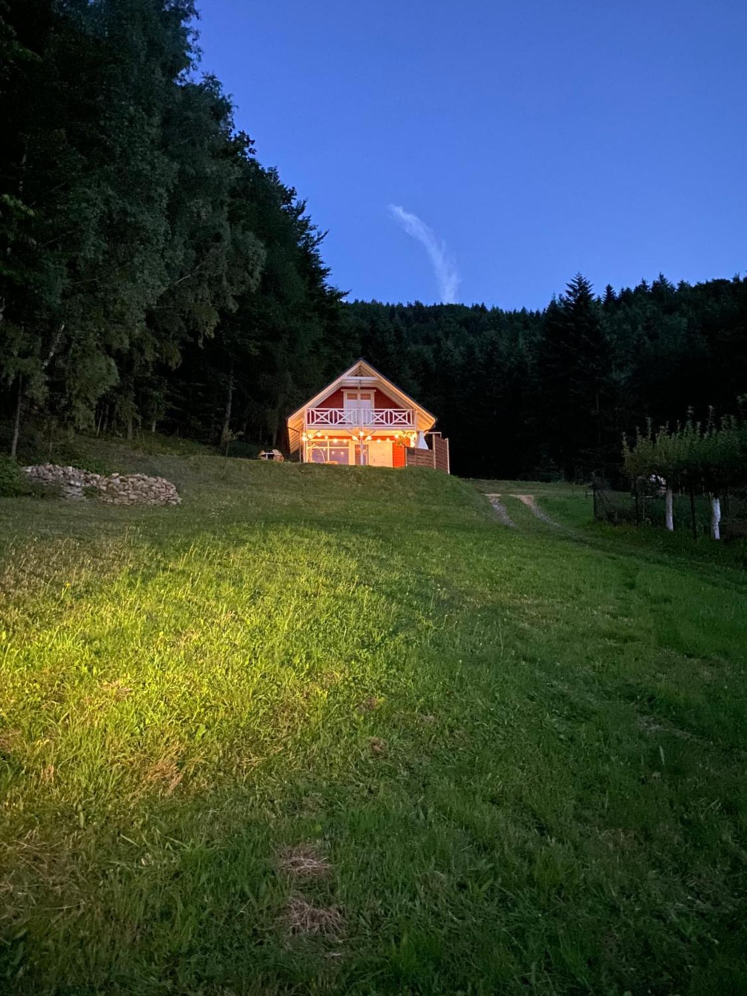 Forest House Targanice Kültér fotó